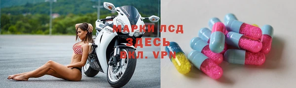 стафф Алзамай