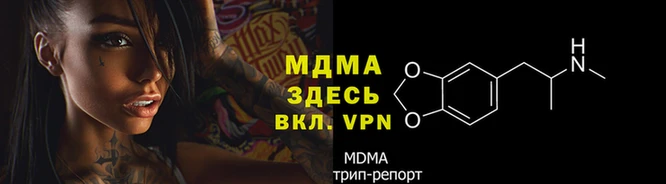 сатива Алексин